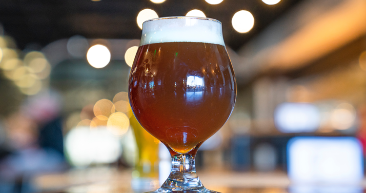 Your Ultimate Guide to 20 Craft Breweries in the Ann Arbor Area [Interactive Map]